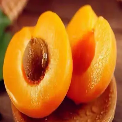 Top Quality Canned Peaches