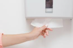Paper Towel3