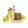 صحية الأصلي النقي الجملة النحل عباد الشمس العسل الطبيعي