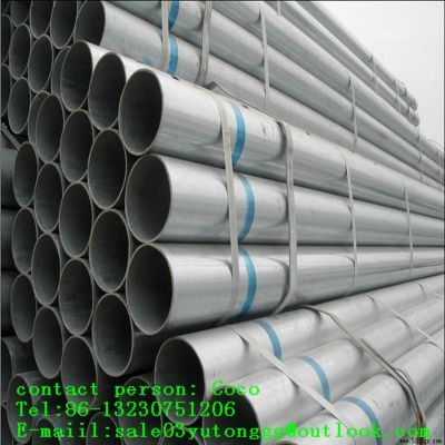 GB/T 700: Q195/ASTM:Gr.B Pre Galvanized pipe manufacturer