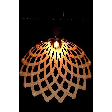 Modern simple Wooden Pendant Light Fixtures / pendant lights