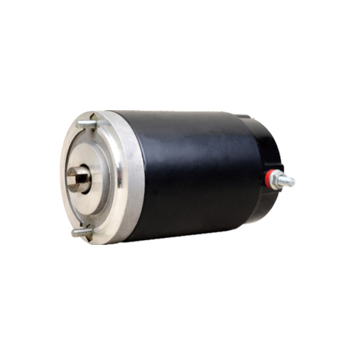 brushless dc electric motor
