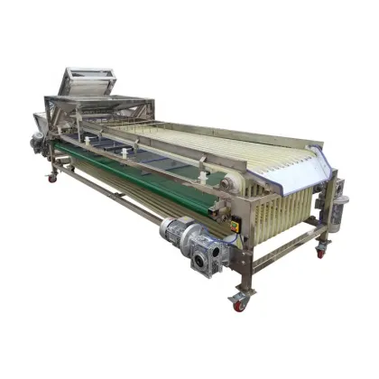 Fruit Pre-sizing Machine for Medjool Dates, Jujube, Dattes, and Plums Sorting