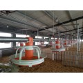 Pan Feeder System (Sistema Pan alimentazione del pollame)