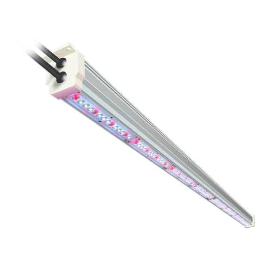 Wholesale Full Spectrum LED Grow Lights for Greenhouse, Vertical Farm, and Indoor Plants