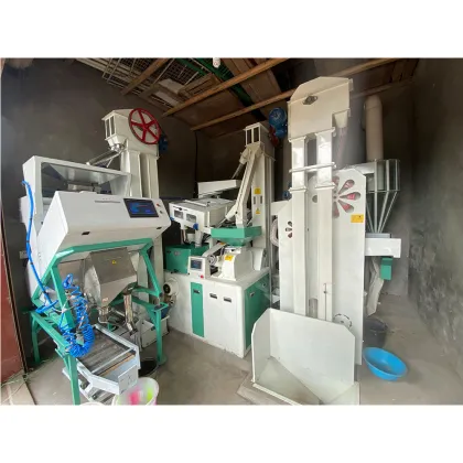 High-Efficiency 20TPD Rice Milling Machine for Business Use in Nueva Ecija