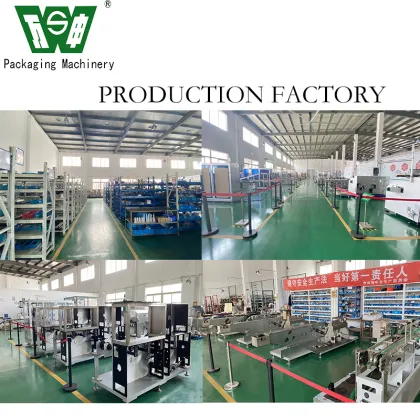 WANSHEN HDZ-100 Automatic Carton Erecting Machine for Corrugated Boxes and Tetra Pak Cartons