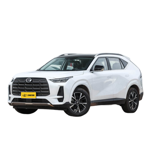 GS4 International Edition Customized New Car