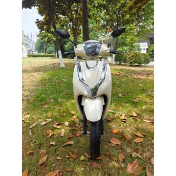 ASEAN PRO R3 E-MOTORCYCLE | 2000W IP68 150 km Tropical Edition