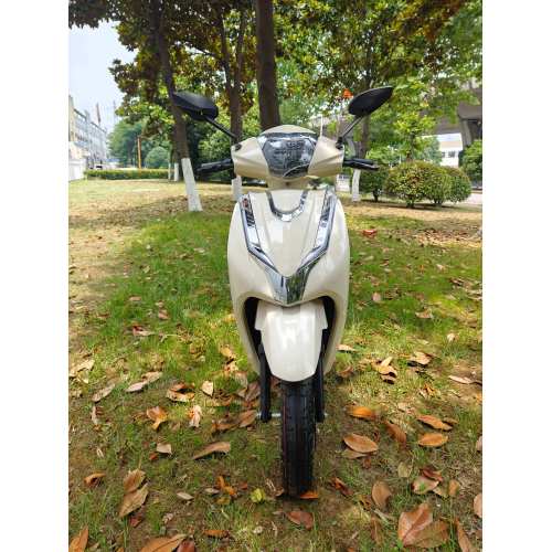 ASEAN PRO R3 E-MOTORCYCLE | 2000W IP68 150 km Tropical Edition