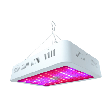 100W LED Plant Growth Lights for Greenhouse and Indoor Gardening - Full Spectrum LED Grow Lights