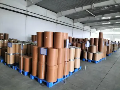 astragalus extract astragalus roots