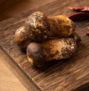 Sulfur Free Gourmet Edible Fungi Matsutake