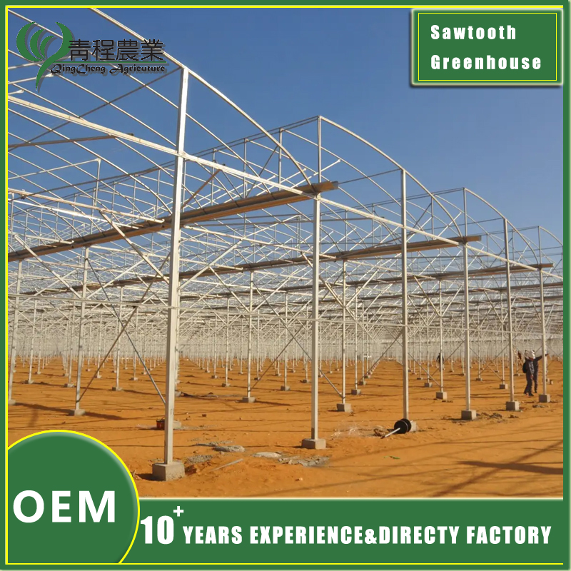 sawtooth greenhouse multi-span structure