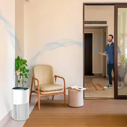Multifunctional air purifier Small air purifier