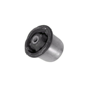 Renault Sandero & Nissan Aprio Rear Axle Control Arm Bushing (6001549988)