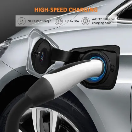 Schuko Plug IP66 TESLA Portable Electric Car Charger