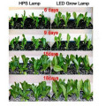 Lampadina LED Grow Full Specturm 5W Chip a LED