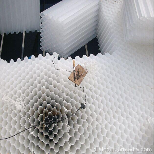 Hexagonal sarang lebah miring pengemasan tabung