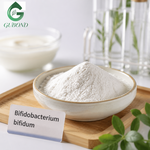 Bifidobacterium Bifidum para suplementos dietéticos