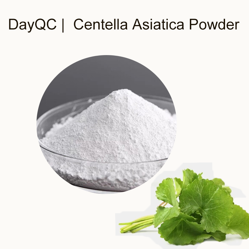 Wholesale Gotu Kola Extract Centella Asiatica Powder
