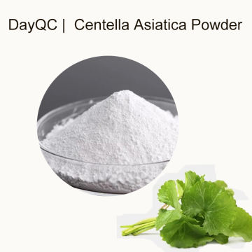 卸売Gotu Kola Extract Centella asiaticaパウダー