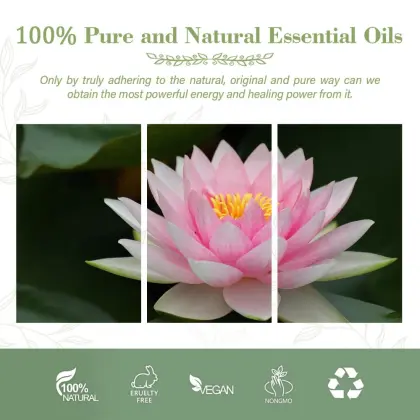 Natural  Pink Lotus Oil Therapeutic Grade Pink Lotus Flower Essential Oil