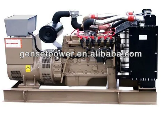 CE approved 20kva to 800kva Biogas Generator