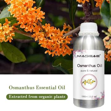 Aceite popular de fragancia de perfume a granel Osmanthus para fabricación de perfumes