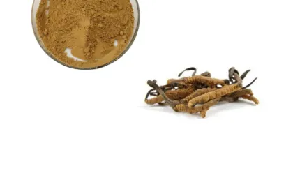 Cordycepin Cordyceps Sinensis Extract Powder