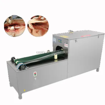 Fish Gut and Scale Cleaning Machine: Belly Opening and Scale Removal