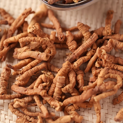Calming Herbal Root for Natural Relaxation