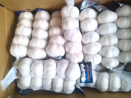 Real orgin jinxiang fresh garlic