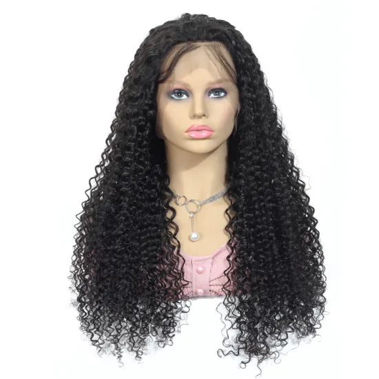 Human Hair Vendors Unprocessed Virgin Cuticle Aligned Swiss Lace Wig Free Sample Afro Kinky Curly Full Lace Wig Raw Indian Hair