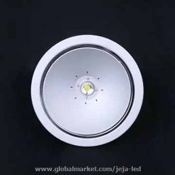 Jeja 20W/30W LED Recessed Down Light