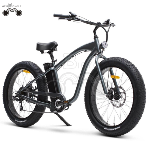 บริษัท EBIKE ขายส่ง HOT-SALE EBIKE 36V 250W FAT TIRE BEACH BIKE