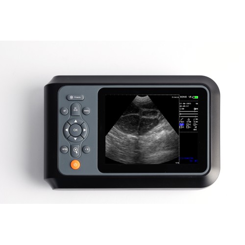 SONO V5 ultrasound for swine pregnancy test