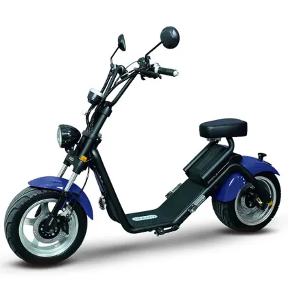 EU/US Warehouse LUQI 2.0: Removable Battery Electric Scooter with 2 Wheels