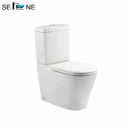Ceramic Squat Toilet with Multifunction Features and Porcelain Flush Tank