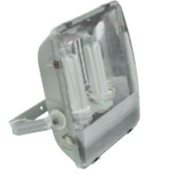 new  type   2*65W   IP65  flood  light