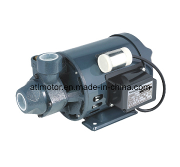 Peripheral Pump (PM)