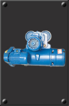Explosion-proof electric hoist