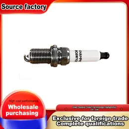 Double Iridium 19mm Plug