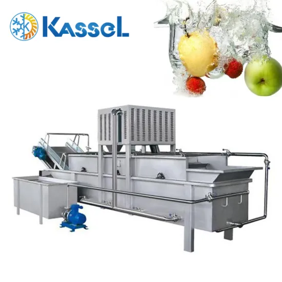 Industrial Food Cleaning Machine
