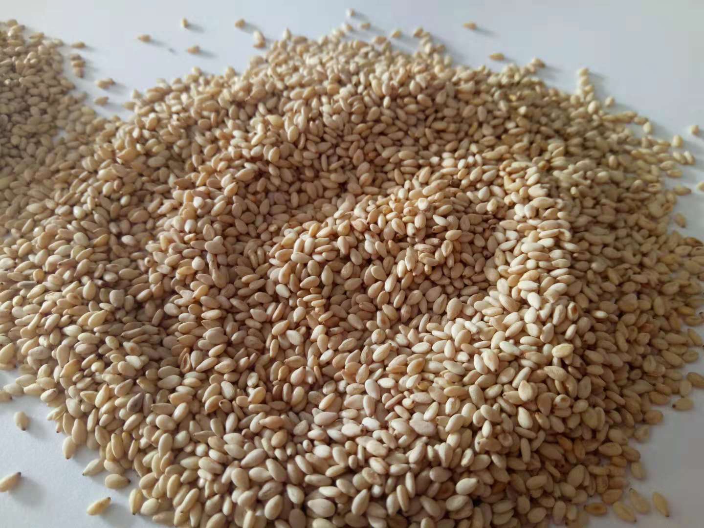 roasted white sesame seeds