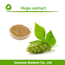 Humulus Lupulus extracto saltos flavonas 3% 5% 6%