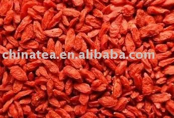 Wolfberry Fruit Extract
