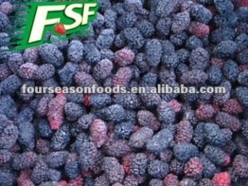 2012 new crop IQF Mulberry