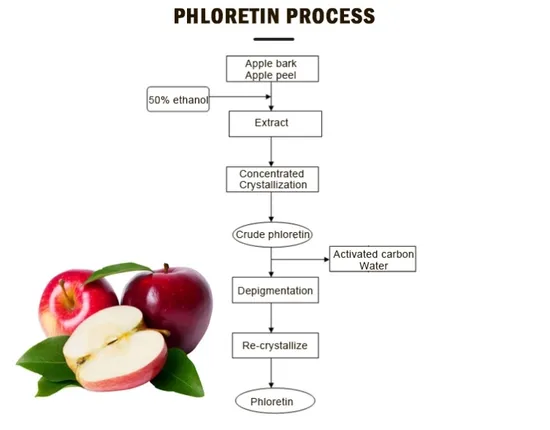 Phloretin (5)