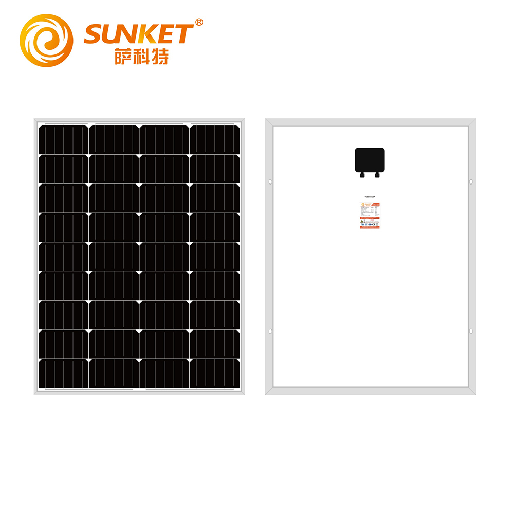 Panel Solar 100W Mono berbanding dengan Longi